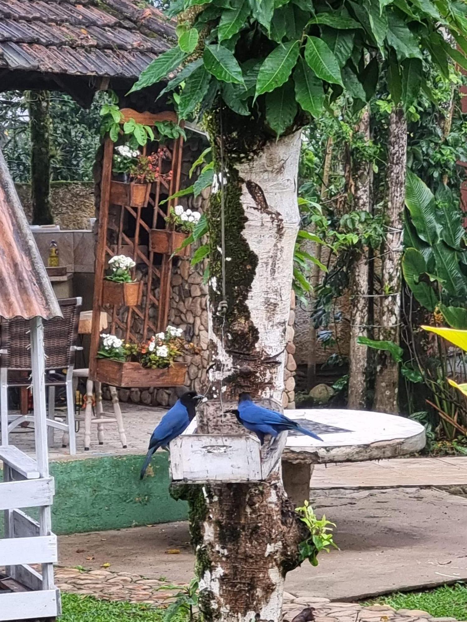 Pousada Siroba Beira Rio Daire Morretes Dış mekan fotoğraf